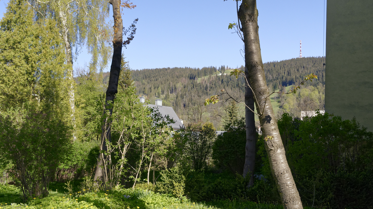 20160512 081947•••Zakopane•Lesser Poland•Poland